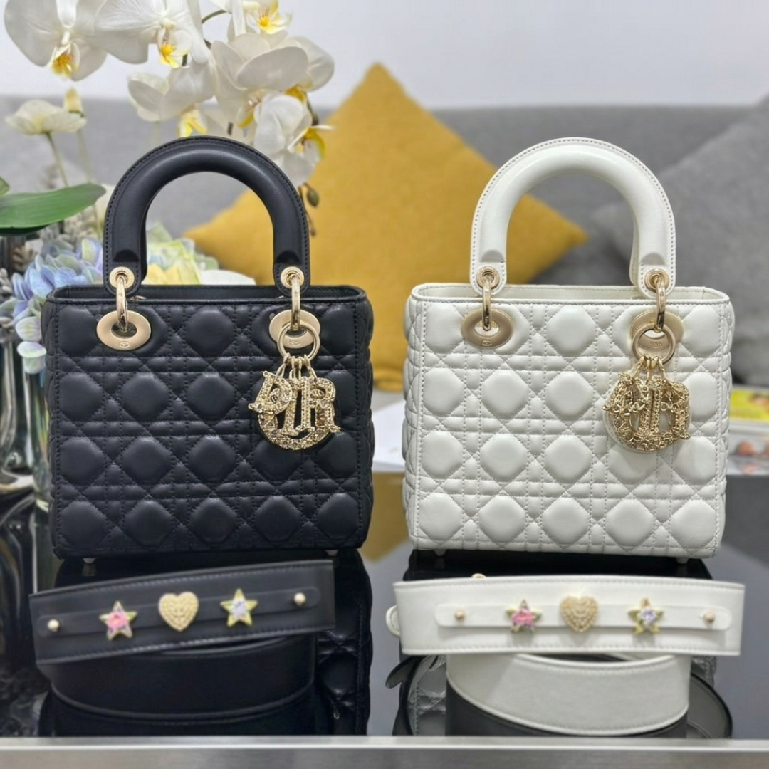 Bolso DR LADY vista 2