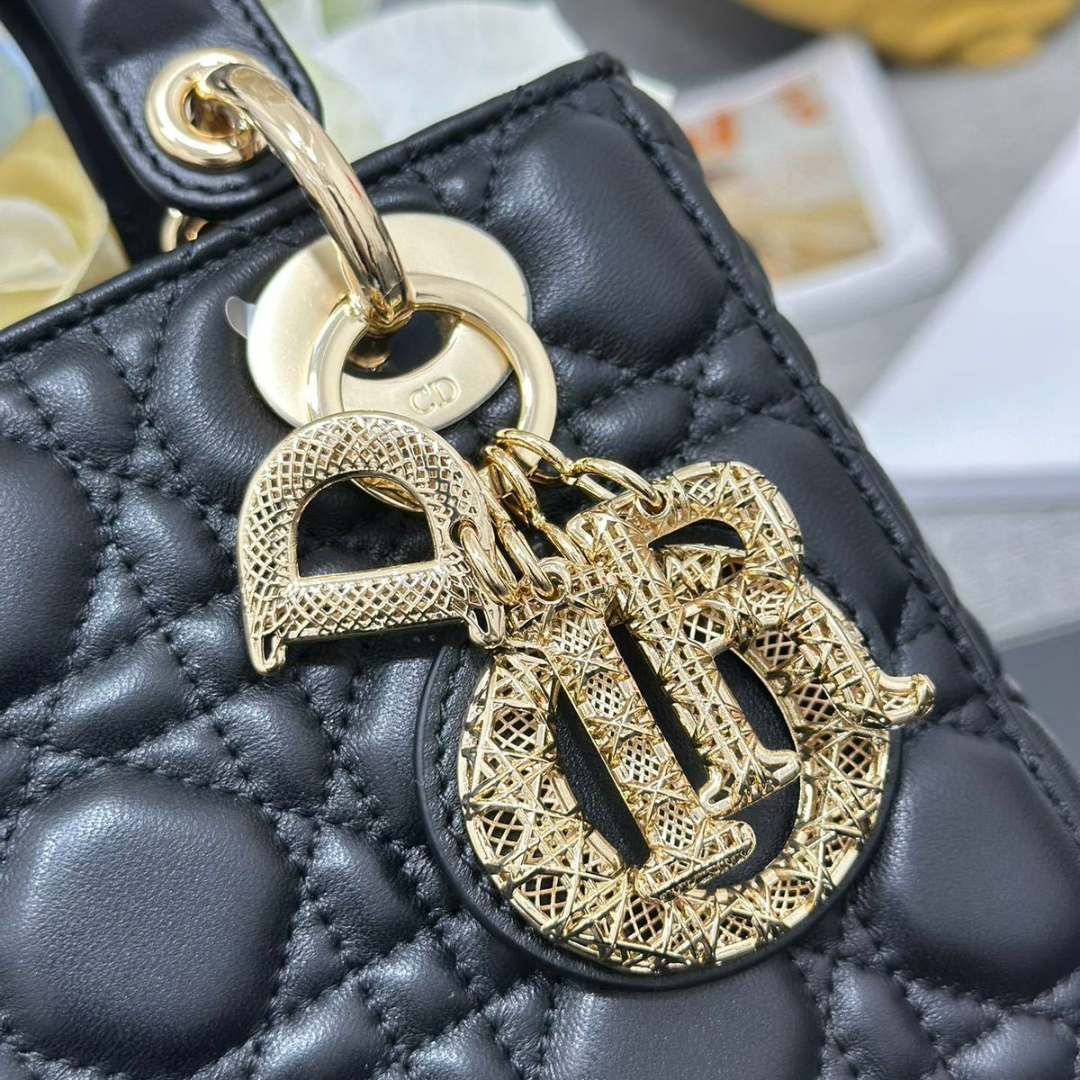 Bolso DR LADY vista 4